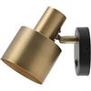 WatioWave Applique PARETE 1xE27 ORO SERANTI EB