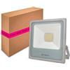 Superia Milano Faro LED Silver da esterno 35W, Azienda ITALIANA, 3010 lumen Bianco Naturale 4000K, Proiettore Impermeabile IP65, per Giardini e Abitazioni, Fascio 100°, 230V AC, NL35N