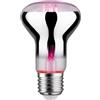 Paulmann 28734 Lampadina LED luce per piante lampadina da 4 Watt illuminazione luce 1300 K E14, argento