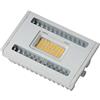 Maisange MEGAMAN | LAMPADINA LED R7S | 7W | 450 LM | 4000K | A+ | REF MM03607 LJ0107 (x2)
