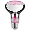 Paulmann 28733 Lampadina LED luce per piante lampadina da 6,5 Watt illuminazione luce 1300 K E27, Argento