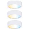 Paulmann Pauleen Paulmann 99975 Lampada per mobili LED Clever Connect Starter Set Disc 24W DC 12V Tonda incl. 3x2,1 Watt dimmerabile Bianco Opaco plastica 2700-6500K 6.3 W, Chrome Matt