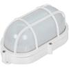Zarivy Applique LED ovale 9 W 810 lm per esterni, IP65. Resistente alle intemperie e temperatura di colore 4000 K. Dimensioni: 11,8 x 21,2 x 9 mm. Perfetto per illuminare gli spazi esterni.