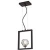 Westinghouse Lighting 63674 - Lampada a sospensione da interno Zoa a una luce, finitura in bronzo duro spazzolato opaco con vetro cristallo
