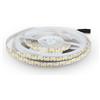 Brightium Striscia LED - striscia 5 metri, 17 W/M, luce bianca neutra 4000 K, grado di protezione IP20, ideale per illuminazione decorativa e funzionale. *