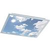 Wofi 9693.01.70.6600 Plafoniera da soffitto con luce a LED, in metallo, con lampadina da 44 W integrato, dimensioni: 600 x 55 x 600 cm, colore: argento