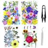 Cayway 4 Pacco Naturali Pressati Fiori Pressati Secchi, Fiori Secchi per Resina, Fiori Pressati Secchi per Candele Fai Da Te Gioielli Resina Partecipazion, Stile D