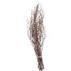 DOITOOL 10 Pezzi Rami di Betulla Secchi Decorativi in Legno Marrone 40 Cm per Decorazione Rustica Casa e Accessori Fotografici