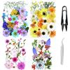 Cayway 4 Pacco Fiori Secchi per Resina Naturali Pressati Fiori Pressati Secchi, Fiori Secchi Fiori Pressati Secchi Naturali per Candele Fai Da Te Gioielli Resina Partecipazion, Stile A