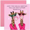 Central 23 Biglietto di compleanno per migliore amica, con scritta in lingua inglese Delulu Besties, regalo per amici intimi, migliori amici, fidanzate, sorelle, signore, con divertenti adesivi