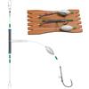 Generic Ami per gamberetti per pesca in acqua salata, porta esca in acciaio al carbonio - ami da pesca ad ardillon con linee e piombo per gatto, orma, trota e persico