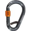 CAMP CORE BELAY LOCK - Canna di fucile Moschettoe