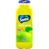 Santal Succo di Frutta Top Mela Verde Ingredienti 100% di Origine Naturale Confezione da 24 Bottiglie in Vetro da 250ml
