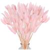 MHDAMAI Piccola Erba Secca di Pampa,Coda di Coniglio Essiccata Mazzi di Erba 60 Coda di Coniglio Pampa Erba Secca Naturale Fiore Artificiale per Matrimonio Decorazione D'interni Domestica Giardino Festa,Rosa