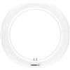 OSRAM Lampada LED, Attacco: G10q, Cool Daylight, 6500 K, 12 W, sostituzione per 22 W, opaco, SubstiTUBE T9 EM,Confezione da 1
