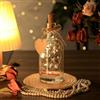 Yizhet Bottiglia Illuminata con Scritta, 22,5cm e Chiaro, 2m 20 Led Luci per Bottiglia con Tappo in Sughero per Regalo Decorazione Feste Compleanno Natale San Valentino