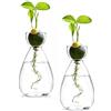 Qnbonrich Terrario per piante idroponiche, 2 pezzi, stazione di coltivazione idroponica, vaso per semi di avocado, per gli amanti delle piante, decorazione da tavolo per casa e ufficio, piante acquatiche o