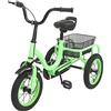 HPDTZ 12 pollici 3 ruote triciclo bambini biciclette per ragazzi/ragazze single velocità triciciclo bicicletta bambini 3 ruote bicicletta regalo per bambini (verde chiaro)