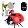 FLORMOON Coccinella figure realistiche telecomando animale senza fili finto scherzo giocattolo per bambini ideale per scherzi e decorazioni di Halloween (senza batteria)