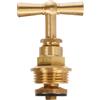 BOUTTE Boutté 3175816 TRC26 - Testa rubinetto in ottone, maschio, 26 x 34, Oro (Or)