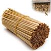 ZestEcho 300 cannucce di grano per hotel di insetti, 14,5 cm, tubo per nido d'ape selvatiche, imbottitura naturale per casa degli insetti, hotel, api, alveari fai da te