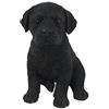 Hi-Line Gift Ltd Labrador Puppy Statua, Nero