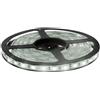 Brightium Striscia LED 12 V da 3 m e 28 W, IP65, luce fredda. Efficiente e durevole, ideale per progetti decorativi. Impermeabile, perfetto per interni ed esterni, unisce stile e funzionalità.
