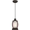 Westinghouse 63617 Apparecchio di illuminazione a sospensione a luce singola da interno, finitura in bronzo lucidato a olio con accenti in legno rustico e vetro a bolle trasparente