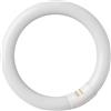 WatioWave FLUORESCENTE CIRCOLARE T9 6400K 32W