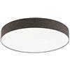 EGLO ROMAO 2 - Plafoniera in acciaio, 60 W, colore: Bianco