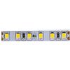 Brightium Striscia LED 2835 24V 9.6W/m 600L 5m IP20 6000K per illuminazione decorativa ed ambientale in interni ed esterni.
