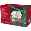Konstsmide 3156-103 - Ghirlanda con la luce del LED (sfere di metallo bianco 20, 24 diodi bianco caldo, trasformatore interno di 24 V, cavo trasparente)