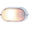 REV Ritter 0590052555 - Lampada ovale con struttura in alluminio, 60W, bianco