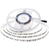 Brightium Striscia LED - striscia 5 m, 12 W/m, temperatura di colore 4000K, IP20, 24V, ideale per illuminazione interna. *