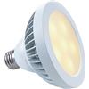 KapegoLED Lampadina E27, 10 W