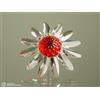 Swarovski Margarite rot SCS 255806 marguerite red AP 2000