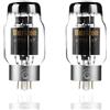 PSVANE Horizon Serie KT88-AT - Amplificatore per tubi a vuoto, coppia abbinata (confezione da 2)