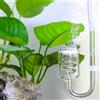 PlumHOME Acquario Diffusore di CO2 60 ~ 300L Piante Serbatoio Atomizzatore Solenoide Regolatore Muschio CO2 Atomizzatore Tubo di vetro a spirale