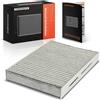 Frankberg Filtro Abitacolo Frankberg 1x a Carbone Attivo per Dacia Logan Nissan Kubistar Renault Clio Kangoo CU2945 K1052 B729800QAA 7700424098