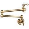 XJTNLB Miscelatore da Cucina Pieghevole Doppia Articolazione Ugello Rubinetto Cucina a Muro Ottone Rubinetto Acqua Fredda Rubinetti Cucina Rubinetto per Riempire Bacinelle Oro Spazzolato