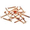Jones DIY 50 chiodi in rame per coperture in ardesia, per ceppi d'albero, 30 mm, 38 mm, 50 mm (30 mm x 2,65 mm)