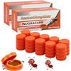 Generic 80 Pezzi Esca per Formiche Formula Potente, Trappola per Formiche ad Azione Rapida e Prolungata, Pronta all'Uso, Esche Antiformiche per Casa, Giardino e Ufficio