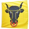 Flaggenfritze Bandiera/Bandiera Svizzera Cantone Uri + GRATIS Sticker, bandiera fritze®, Hissflagge 120 x 120 cm