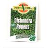 PRATO VERDE SEMI PER PRATO DICHONDRA REPENS BUSTA GR.100 SEMENTI PER TAPPETI ERBOSI
