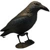 GMM Corvo Nero Gigante Realistico, 43cm, Scaccia Piccioni, Spaventapasseri da Giardino, Spaventa Piccioni, Repellente Piccioni, Repellente x Uccelli, per Esterno (1)