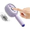 Wunuii Spazzola elettrica a vapore 2 in 1 per capelli, spazzola lisciante per capelli, a riscaldamento rapido, per lisciare e modellare l'effetto , per parrucchieri, saloni di viaggio, spa