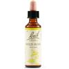 SCHWABE PHARMA ITALIA SRL WILD ROSE BACH ORIG 20ML