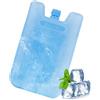 Generico Gel Refrigerante per Raffreddatori d'Aria,Borsa Termica Per Ventilatore Condizionatore | Borsa Termica Portatile e per Frigorifero Portatile per