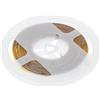 GTV - Striscia LED COB da 12 V, 5 m, luce bianca fredda, 6500 K, 830 lm/m, 1600 LED, 8 mm, 21 W/5 m, linea di luce uniforme, IP20, per interni, commerciali