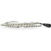 VoltShine Striscia LED 24V DC, SMD2835, IP20. Larghezza 5 mm e 5 m di lunghezza. Emette luce bianca da 6000 K, ideale per illuminare gli spazi con eleganza ed efficienza. Perfetto per interni.